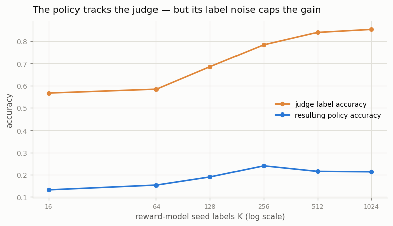 judge vs policy