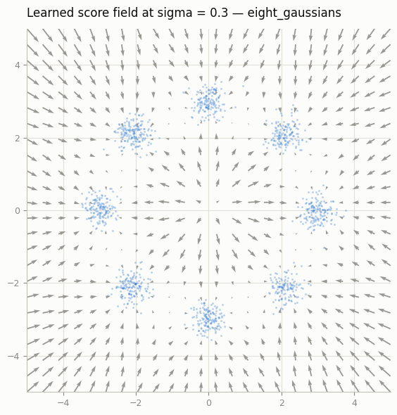 Learned score field over the data